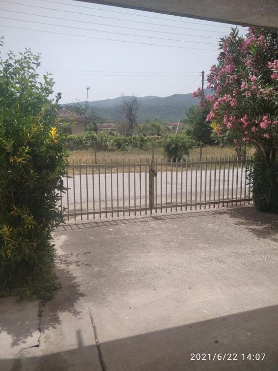 Little Beauty - Happyhostgr - In Platamonas Apartment ภายนอก รูปภาพ