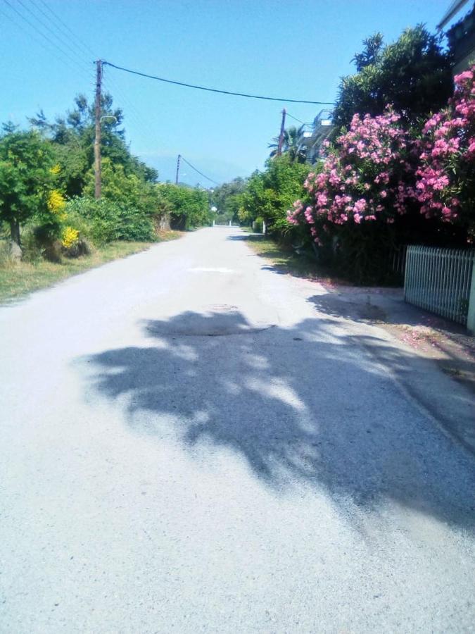 Little Beauty - Happyhostgr - In Platamonas Apartment ภายนอก รูปภาพ